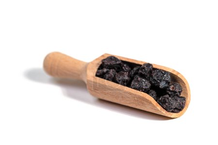 Dried blueberries on a spice shovel