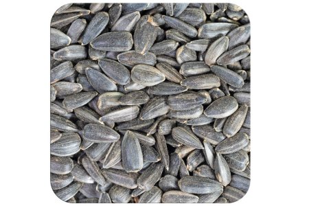 Sunflower seeds in a close-up