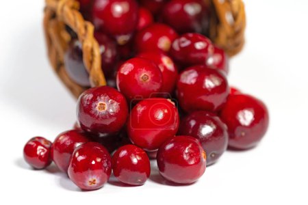 Cranberries in a basket, close-up