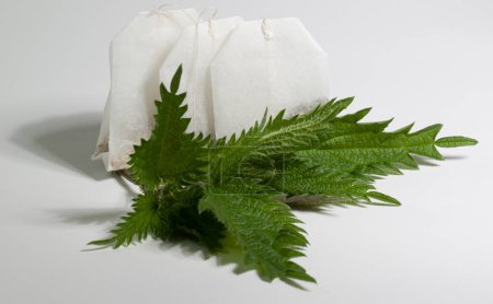 Nettle, Urtica, and tea bags in a close-up