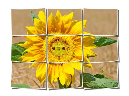 Téléchargez les photos : Énergie solaire, représentation symbolique, tournesol avec prise - en image libre de droit