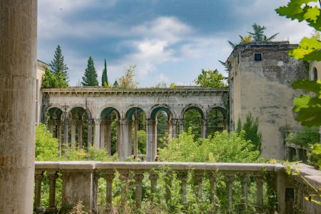 A haunting sight of a decrepit sanatorium and abandoned buildings, their shattered windows overtaken by the relentless force of nature, as vines and foliage envelop the neglected structures