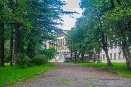 Téléchargez les photos : Natures Takeover : Une vue imprenable sur les sanatoriums abandonnés et les bâtiments délabrés, avec des fenêtres et des portes cassées, qui sont lentement récupérés par la nature. - en image libre de droit