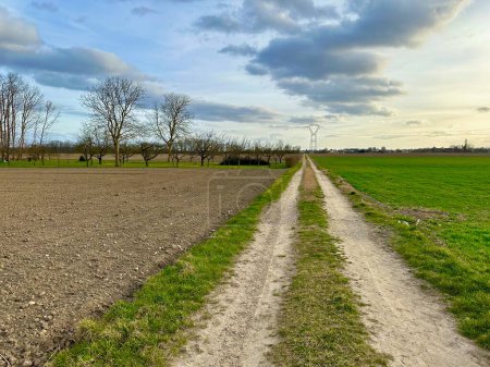 Sendero rural tranquilo: un viaje rural a través de los campos de Marckolsheim a Mackenheim en Alsacia