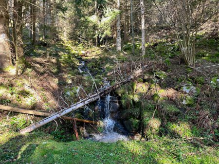 Charmanter Waldwasserfall am Wanderweg zwischen Glashutte und Ebeneck bei Guebwiller gefunden