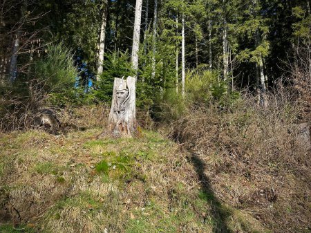 Une sculpture artistique sur bois émerge sur le sentier de randonnée entre Glashutte et Ebeneck près de Guebwiller