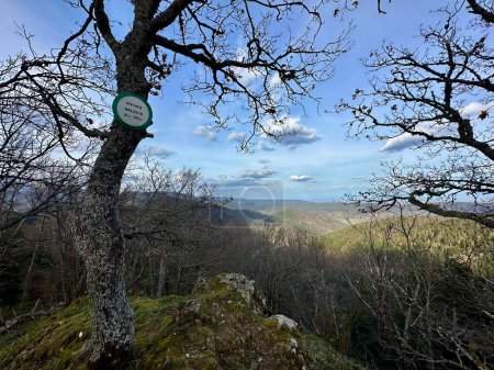 Impresionante vista desde Rocher Waldeck con vistas a Buhl, Alsacia, a lo largo del sendero de un excursionista