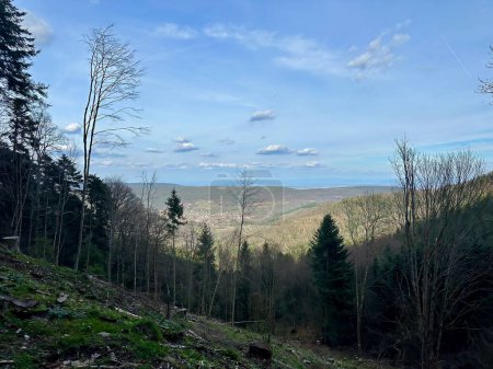Paisaje sereno de Buhl, Alsacia, con bosques en expansión y montañas lejanas a la vista