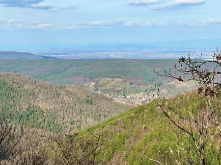 Vue panoramique de Buhl et des plaines alsaciennes depuis les hauteurs de Rocher Waldeck