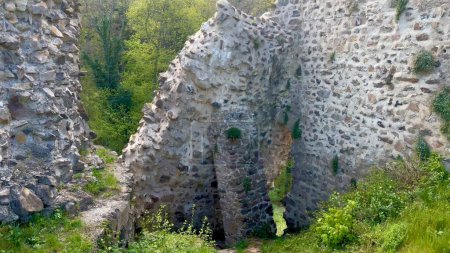 Ruines énigmatiques du château d'Hugstein surplombant la vallée du Florival, vestige de l'histoire au milieu d'une nature verdoyante