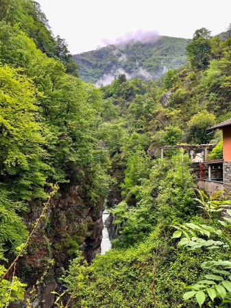 Grüne Klippen und neblige Bergkulisse mit rustikalem Haus in der Schlucht von Orrido di Sant 'Anna, Traffiume, Cannobio, Piemont, Italien, das die Umarmung der Natur zeigt
