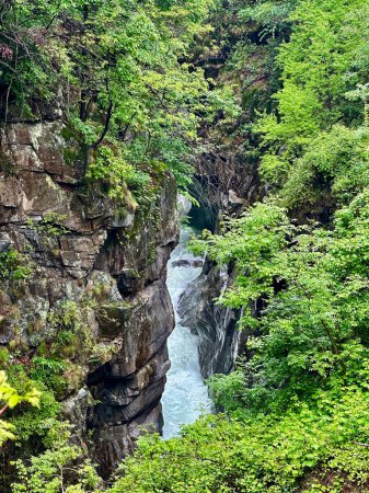 Saftig grünes Laub umgibt felsige Klippen mit einem versteckten Fluss bei Orrido di Sant 'Anna, Traffiume, Cannobio, Piemont, Italien und unterstreicht die unberührte Schönheit der Natur