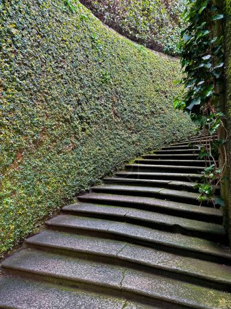 Escalera de piedra serena envuelta por exuberantes viñas verdes en un camino curvo, creando un entorno de jardín pintoresco y tranquilo