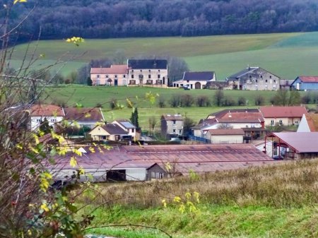 Vista panorámica de Remicourt Village con edificios históricos y exuberante campo en Vosges, Grand Est, Francia