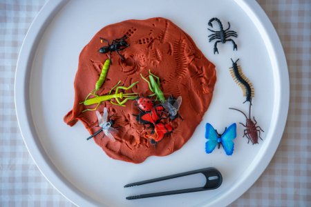 Knete und Spielzeug für Insekten zum Spielen. Sinnesentwicklung und -erfahrungen, thematische Aktivitäten mit Kindern, feinmotorische Entwicklung. Hochwertiges Foto
