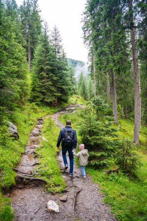 Tourists walking in alpine forest on summer day. Hikers traveler hikking with beautiful forest landscape, Dolomites, Italy. High quality photo