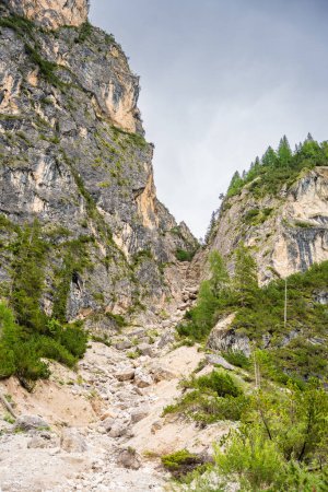 Foto de Corriente de montaña que desemboca en el lago Braies rodeado de bosques de pinos y las cordilleras rocosas de los Dolomitas en el día nublado, Italia. Foto de alta calidad - Imagen libre de derechos
