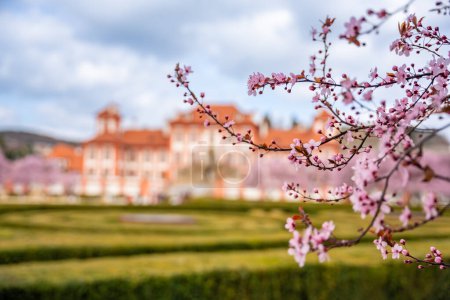 Palais Troja au printemps avec sakura en fleurs à Prague, République tchèque. Photo de haute qualité