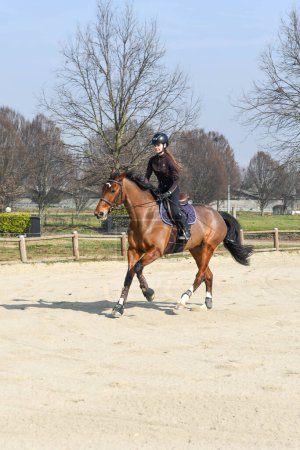 Photo for Sequence of lessons in show jumping, note the position of the rider and the alignment of the shoulders-pelvis-knees-heels in a single line synonymous of a  perfect balance, note the synchronism of the figure of the rider with the horse - Royalty Free Image