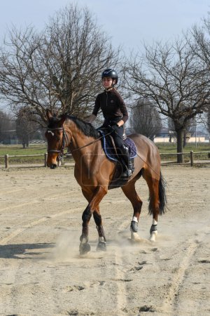 Photo for Sequence of lessons in show jumping, note the position of the rider and the alignment of the shoulders-pelvis-knees-heels in a single line synonymous of a  perfect balance, note the synchronism of the figure of the rider with the horse - Royalty Free Image