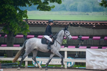 Caballo italiano en el país a caballo muestra ajuste y equilibrio jinete y caballo