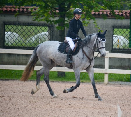 Italian horsewoman in country riding shows trim and balance rider and horse