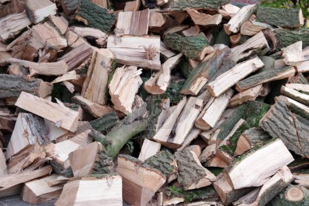 Téléchargez les photos : Plusieurs morceaux de bois de chauffage jetés messily dans une grande pile - en image libre de droit