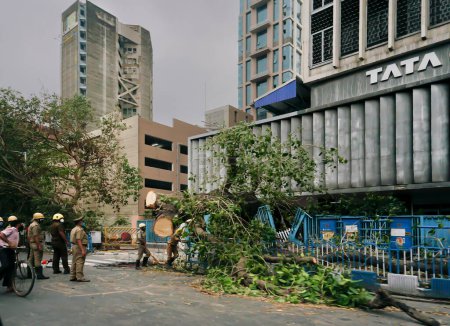 Photo for Kolkata, West Bengal, India- 25th May 2020 : Super cyclone Amphan uprooted tree which fell and blocked pavement in front of Tata Centre. Officials trying to cut the fallen tree and clear the pavement. - Royalty Free Image
