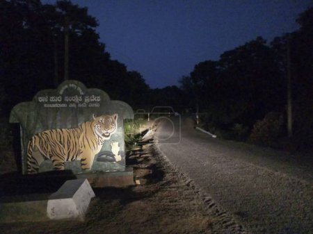 Photo for A tiger on the sign board at Karnataka tiger reserve. The road goes through deep forest of the famous tiger reserve. Shot at blue hour, Karnataka, India. - Royalty Free Image