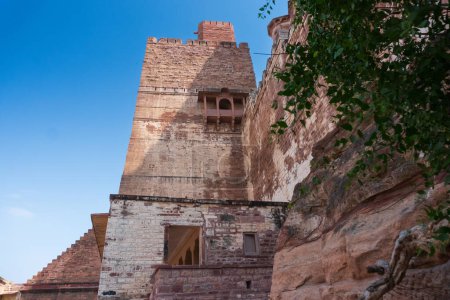 Téléchargez les photos : Ancien vieil arbre et Jharokha, fenêtre en pierre projetant de la face murale d'un bâtiment, dans un étage supérieur, surplombant le fort Mehrangarh, Jodhpur, Rajasthan, Inde. Populaire site du patrimoine mondial de l'UNESCO. - en image libre de droit