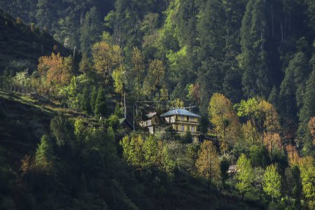 Foto de Casas en Lachung, valle de Lachung, ciudad y una hermosa estación de la colina en el noreste de Sikkim, India. La confluencia de los ríos Lachen y Lachung, árboles coloridos de otoño, montañas del Himalaya. - Imagen libre de derechos
