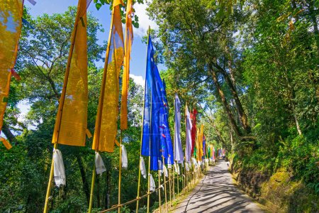 Téléchargez les photos : Belle façon de Samdruptse statue, la lumière du soleil et l'ombre de l'arbre sur la route et les drapeaux agitant de l'autre côté de la route. Samdruptse est une énorme statue commémorative bouddhiste au Sikkim, en Inde. - en image libre de droit