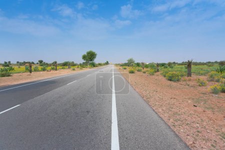 Route en béton vide traversant le désert de Thar avec plantation de graines de moutarde en outre, près de la ville de Jodhpur, dans le désert de Thar avec fond bleu ciel, Rajasthan, Inde.