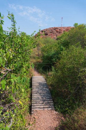 Manera de llegar a la toba soldada, rocas rosadas volcánicas masivas del Rao Jodha Desert Rock Park, Jodhpur, Rajastán, India. Cerca del histórico Fuerte Mehrangarh, el parque contiene desierto restaurado ecológicamente.