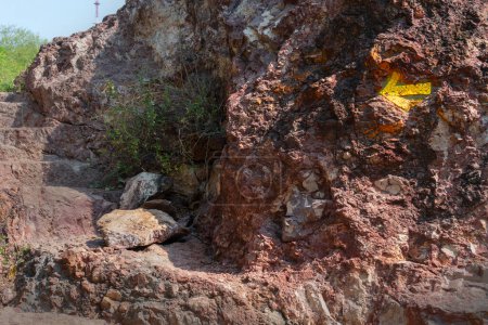 Photo for Direction on Welded tuff, massive volcanic pink rocks of Rao Jodha Desert Rock Park, Jodhpur, Rajasthan, India. Near the historic Mehrangarh Fort , park contains ecologically restored desert. - Royalty Free Image
