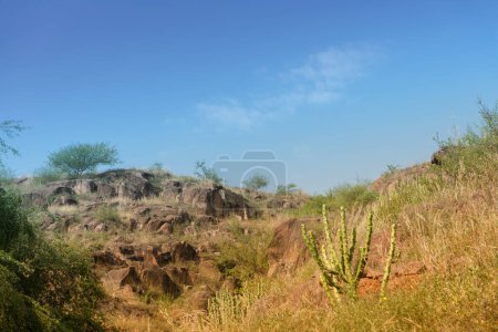 Photo for Welded tuff, massive volcanic pink rocks of Rao Jodha Desert Rock Park, Jodhpur, Rajasthan, India. Near the historic Mehrangarh Fort , park contains ecologically restored desert and land vegetation. - Royalty Free Image