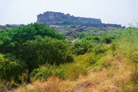 Blick auf das Mehrangarh-Fort vom Rao Jodha Wüste Rock Park, Jodhpur, Indien. Grüne Vegetation im Vordergrund und Mehrangarh Fort im Hintergrund, mit der felsigen Landschaft des Wüstenparks.