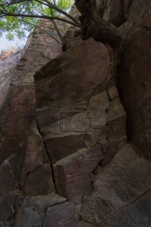 Photo for Welded tuff, massive volcanic pink rocks of Rao Jodha Desert Rock Park, Jodhpur, Rajasthan, India. Near the historic Mehrangarh Fort , park contains ecologically restored desert and land vegetation. - Royalty Free Image