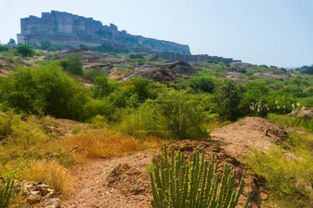 Blick auf das Mehrangarh-Fort vom Rao Jodha Wüste Rock Park, Jodhpur, Indien. Ein einsamer Kaktus im Vordergrund und Mehrangarh Fort im Hintergrund, mit felsiger Landschaft des Wüstenparks.