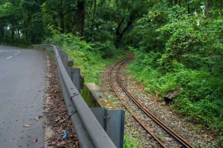Toy train line, narrow gauge train line passing through Himalayan jungle. Darjeeling Himalayan Railway, narrow gauge railway between New Jalpaiguri and Darjeeling.
