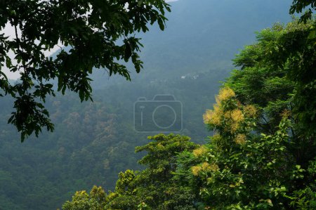 Himalaya-Berge und saftig grüne Wälder. Bedeckter Tag am Monsun in den Bergen. Landschaftliche Schönheit von Darjeeling, Westbengalen, Indien.