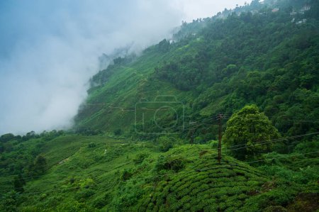 Monsoon clouds passing over famous tea estates , Himalayan mountains of Darjeeling, West Bengal, India. Darjeeling is queen of hills and very scenic with beautiful green hills in rainy season.