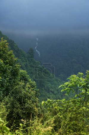 Himalayan mountains and lush green forest. Scenic natural beauty of monsoon in Darjeeling, West Bengal, India. Waterfall in the background mountain slope.