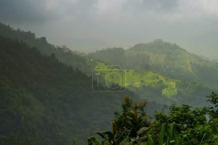Himalaya-Berge und saftig grüne Wälder. Landschaftliche Schönheit des Monsuns in Darjeeling, Westbengalen, Indien. Bedeckter Tag beim Monsun in den Bergen