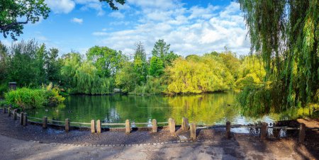 Foto de Panorama de un hermoso parque con árboles y vegetación natural reflejado en un estanque en la encantadora ciudad de Orpington en Londres - Imagen libre de derechos