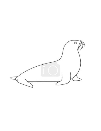 Photo for Seal Coloring Page for Print. Underwater animals and Ocean Life Creatures. - Royalty Free Image
