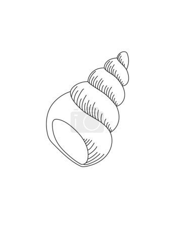 Photo for Mollusk Shell Coloring Page for Print. Underwater animals and Ocean Life Creatures. - Royalty Free Image