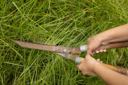 jardinero estilo de vida cortar la hierba, mantenimiento del jardín, el uso de herramientas de trabajo, el medio ambiente en condiciones naturales