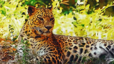 Photo for Beautiful leopard lies on the ground - Royalty Free Image