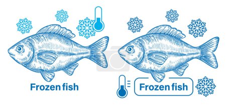 Illustration for Fresh frozen fish, freezing seafood in ice, cold water carp in refrigerator outline sketch. Sea food. Cooling river animal meat product at frost temperature. Fishing production. Healthy nutrition. Package label. Vintage engraving, hand drawn vector - Royalty Free Image
